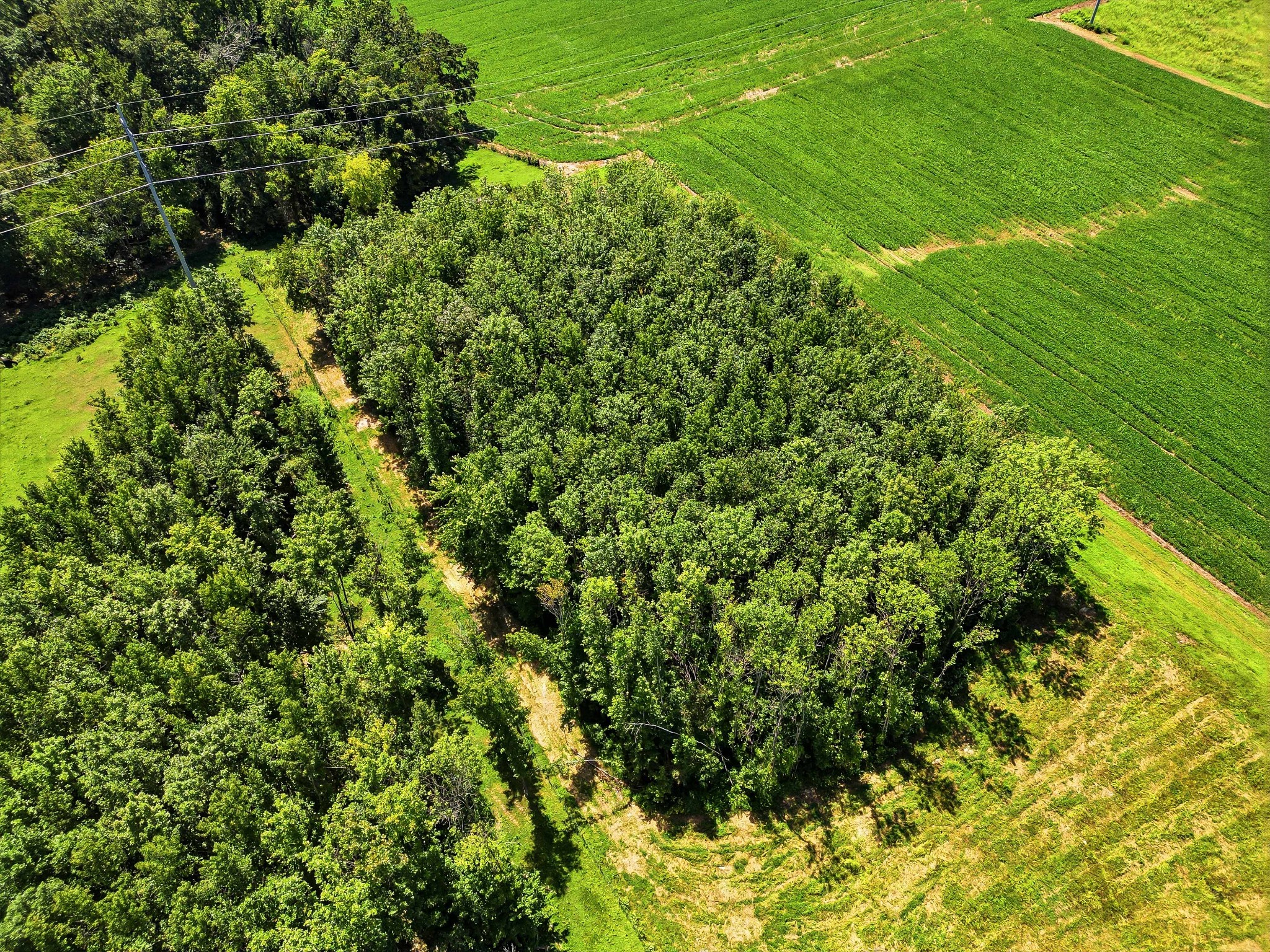 282 Highway 259
