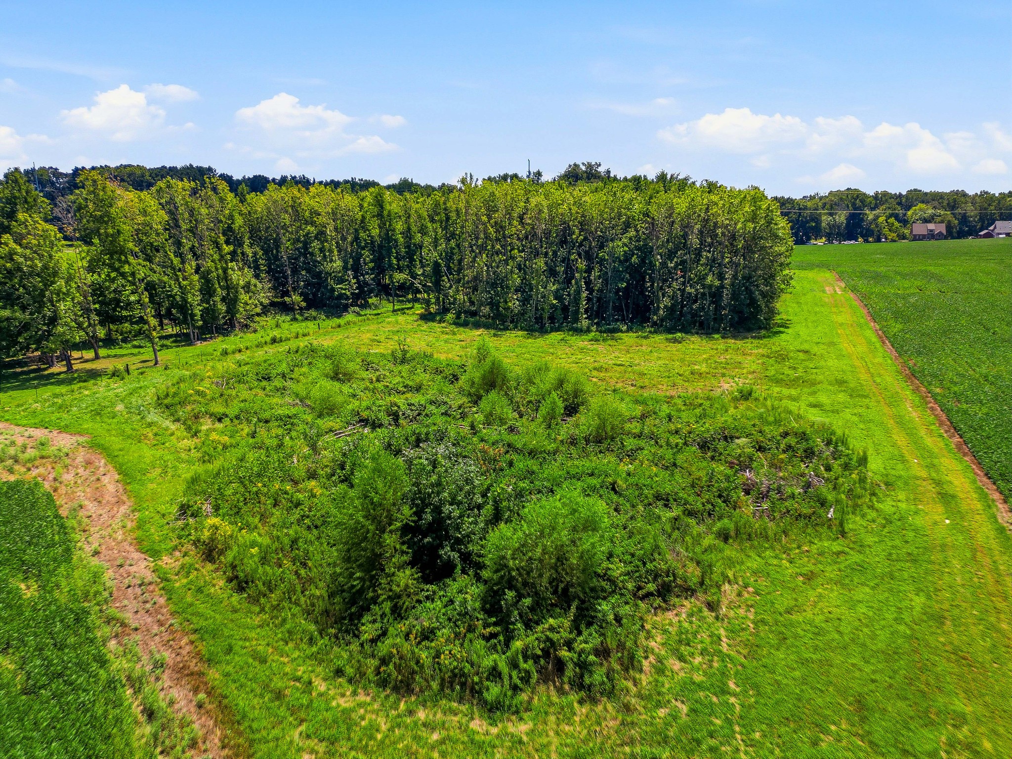282 Highway 259