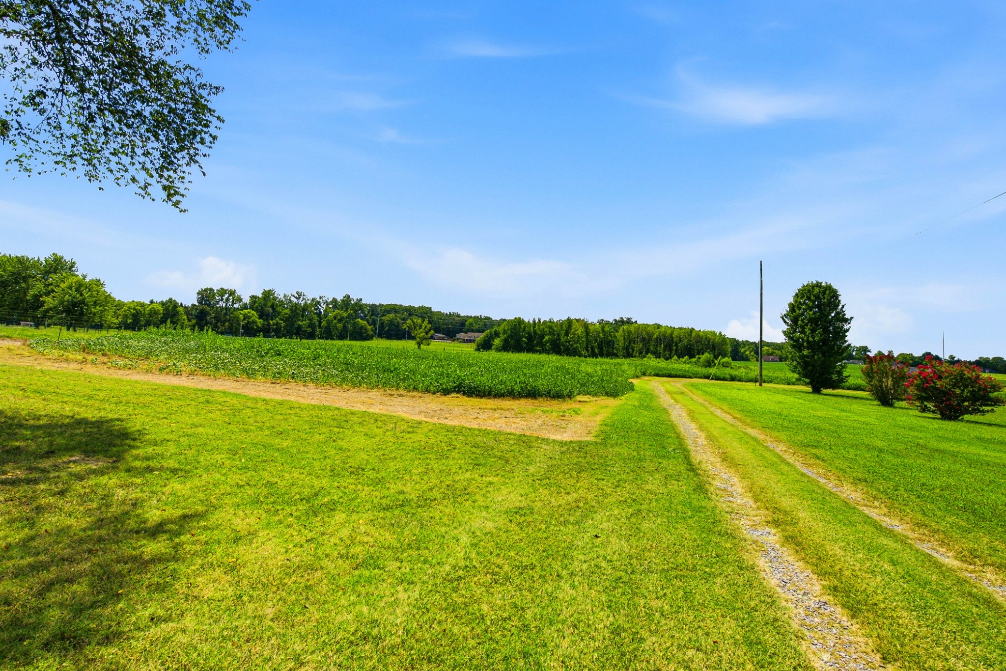 282 Highway 259