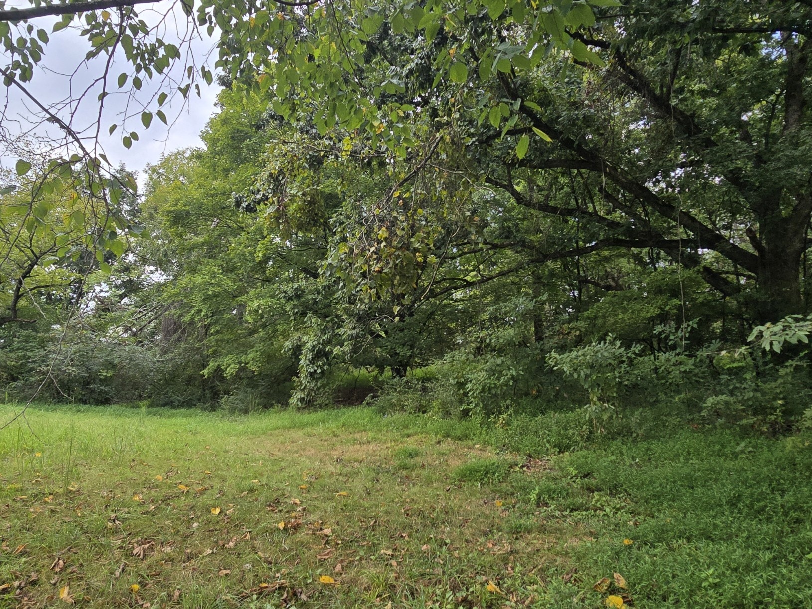 119 Old Dobbins Pike