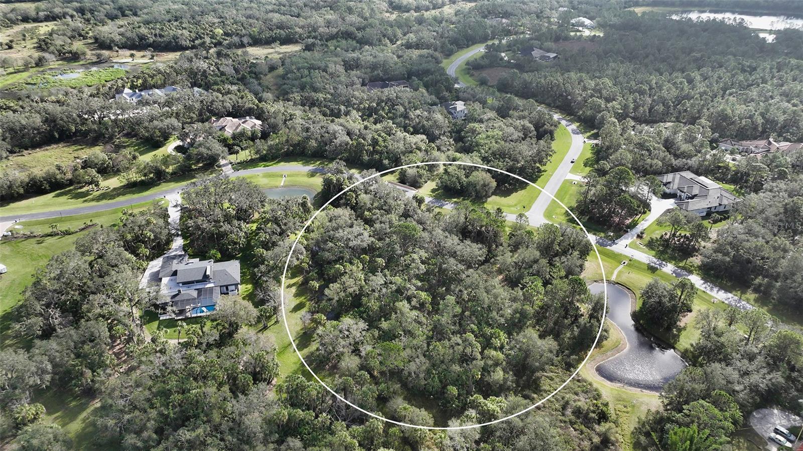 9255 SWAYING BRANCH ROAD