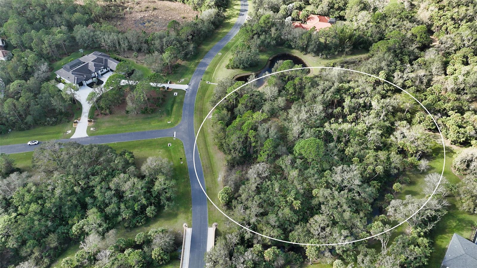 9255 SWAYING BRANCH ROAD