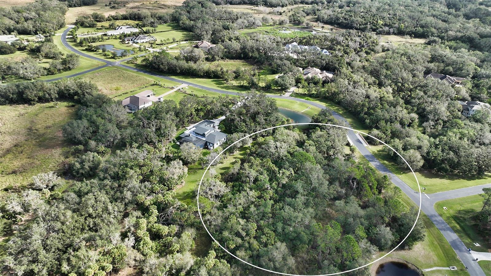9255 SWAYING BRANCH ROAD
