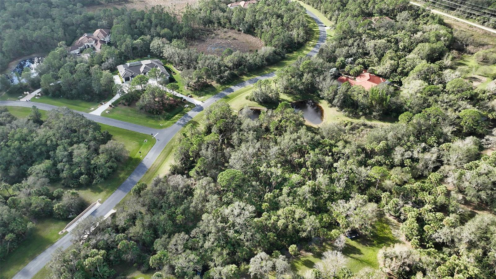 9255 SWAYING BRANCH ROAD