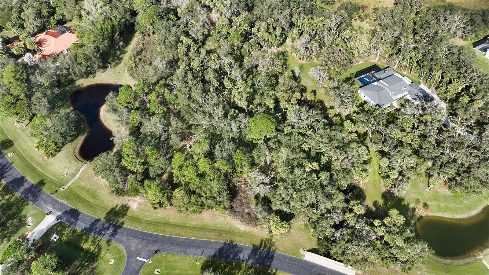 9255 SWAYING BRANCH ROAD