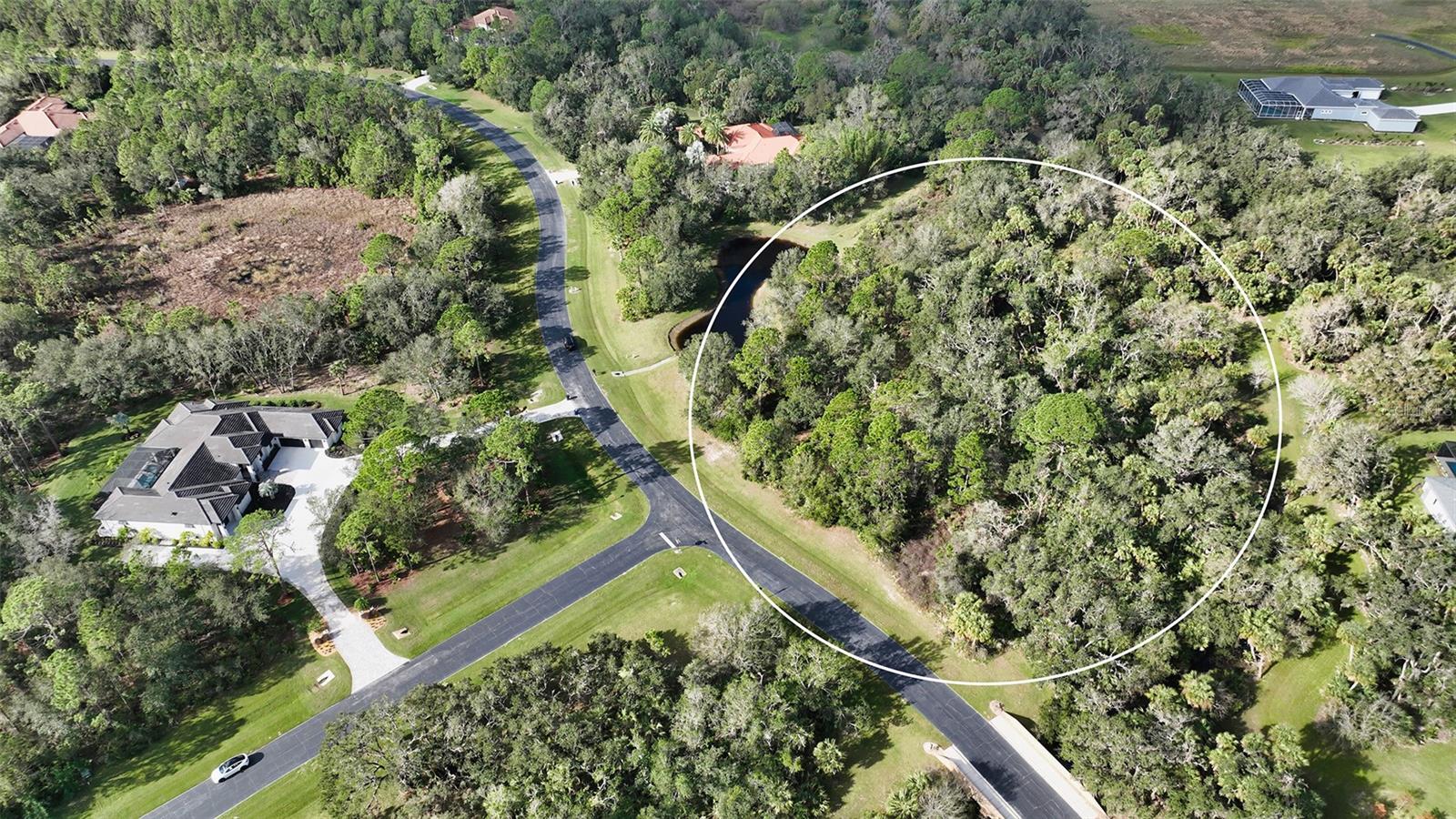 9255 SWAYING BRANCH ROAD