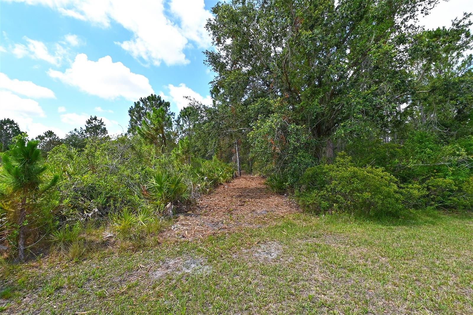 10709 LEAFWING DRIVE