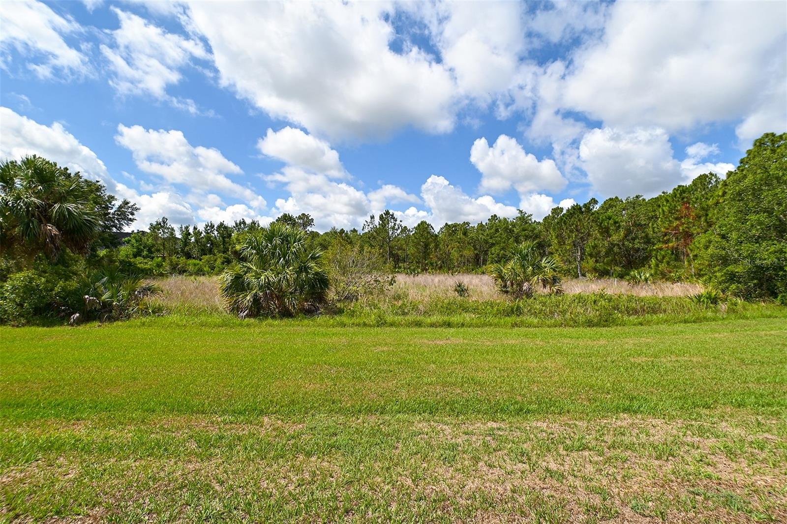 10709 LEAFWING DRIVE