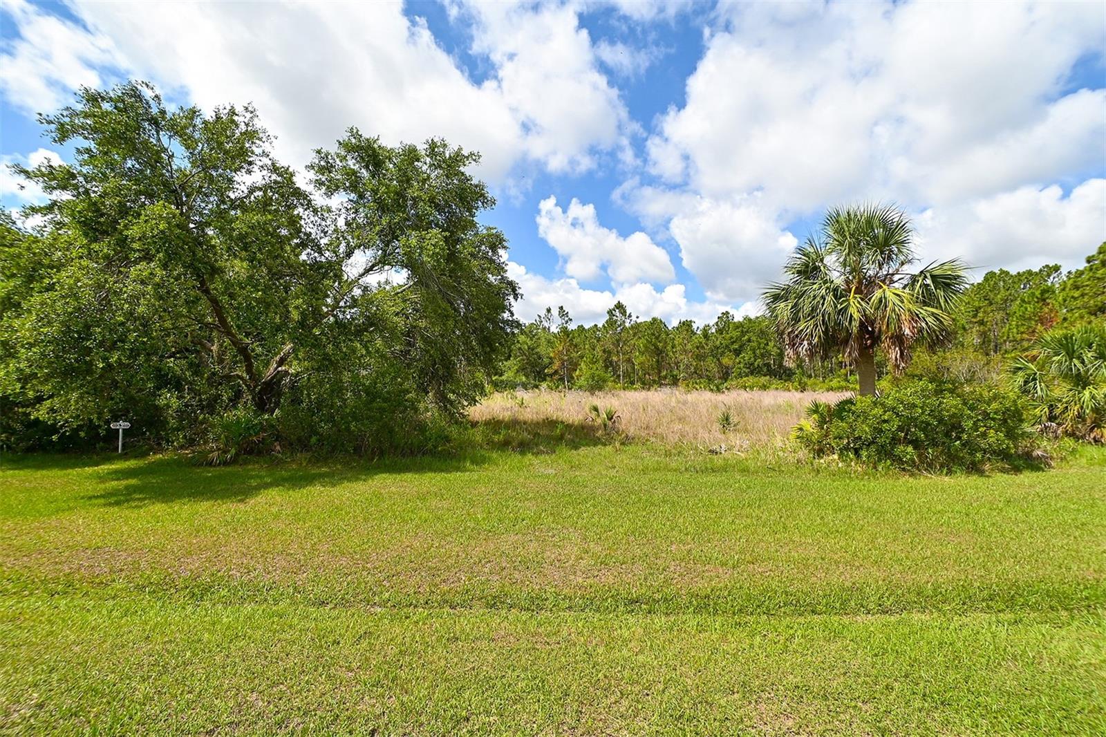 10709 LEAFWING DRIVE