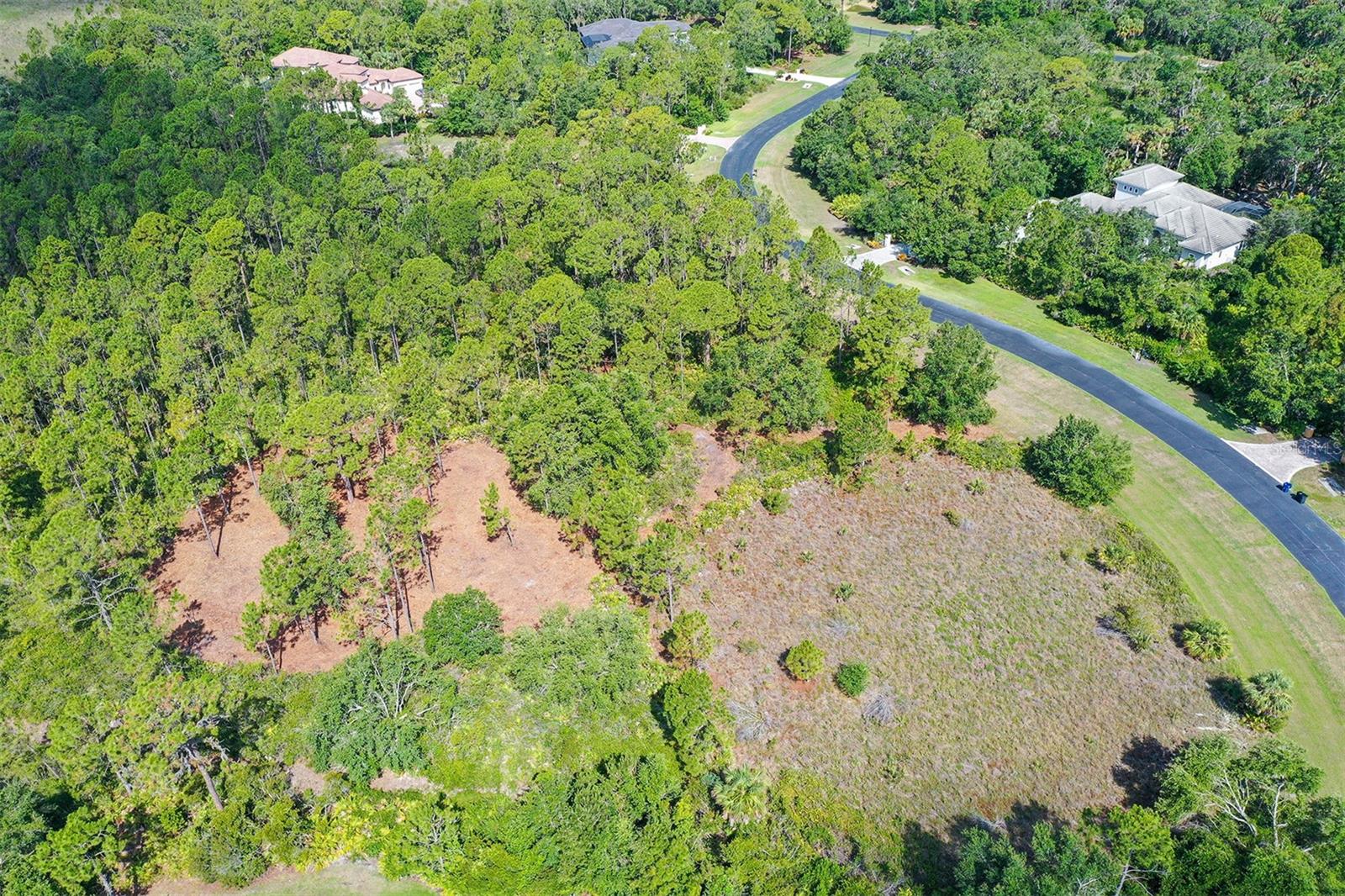 10709 LEAFWING DRIVE