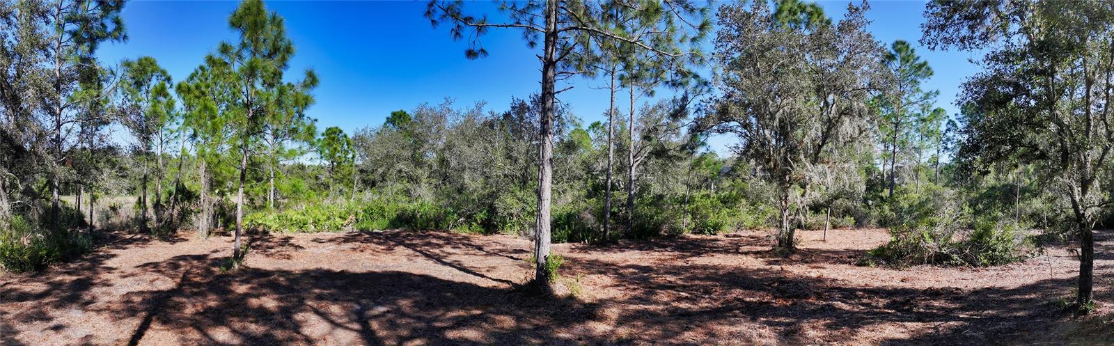 10709 LEAFWING DRIVE