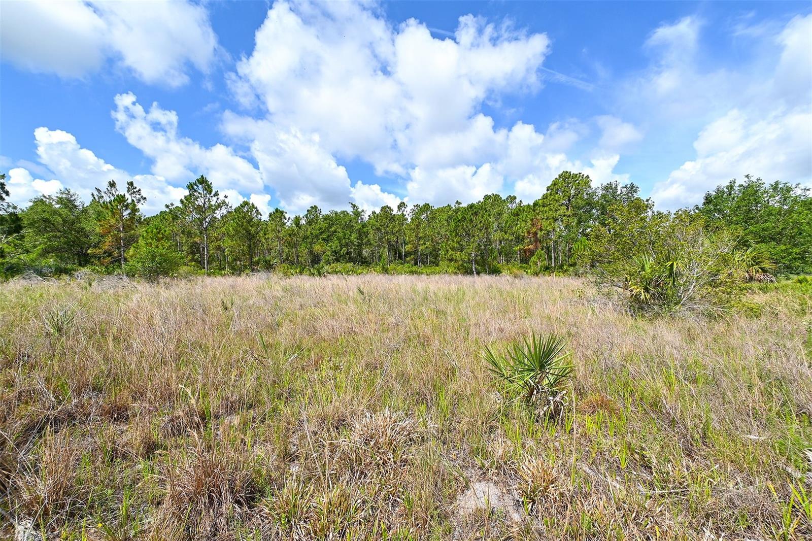 10709 LEAFWING DRIVE