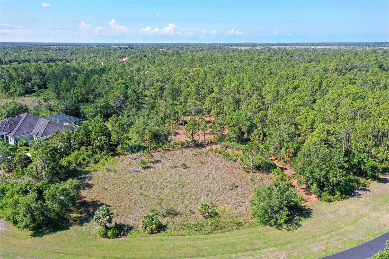 10709 LEAFWING DRIVE