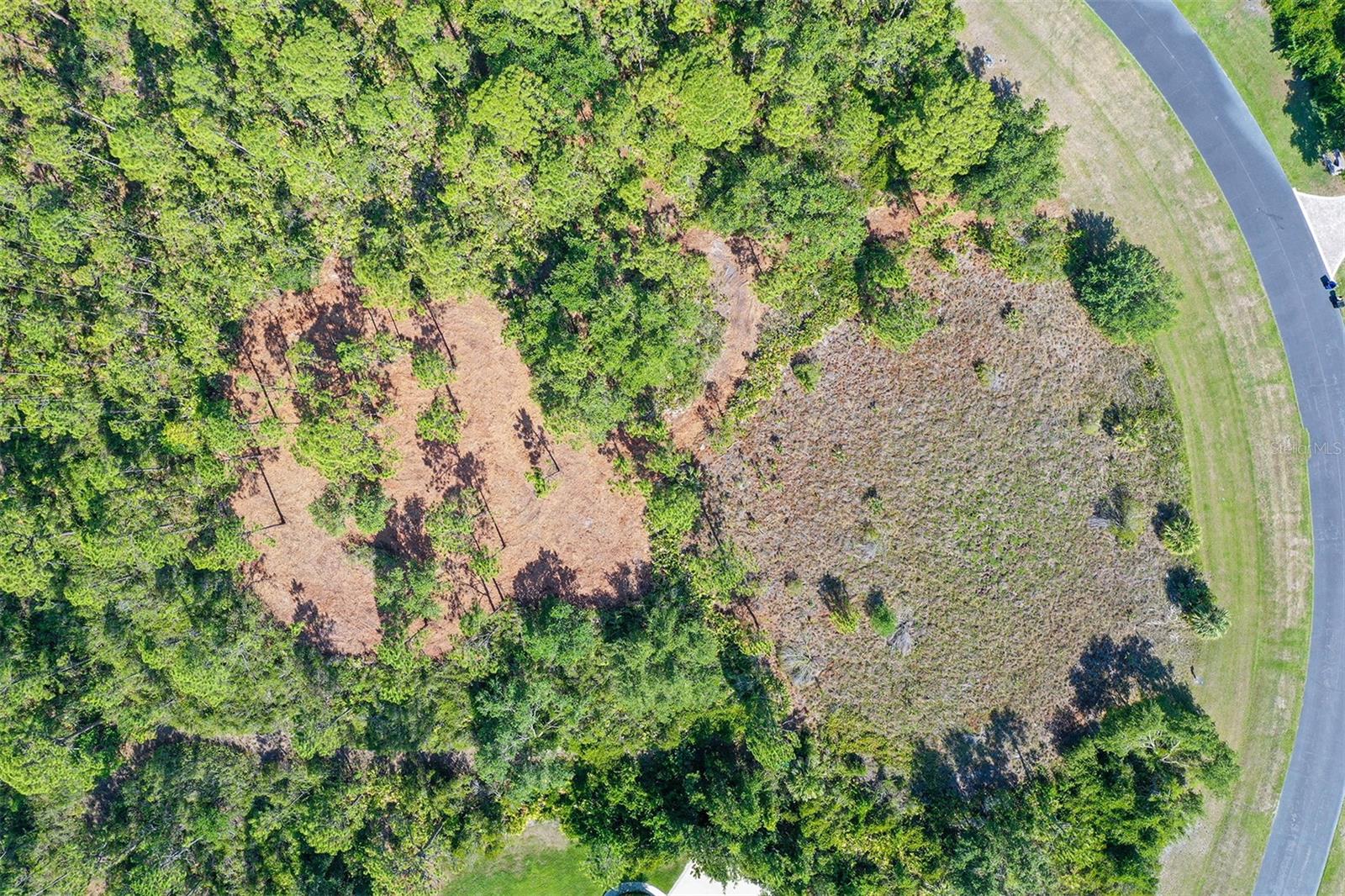 10709 LEAFWING DRIVE