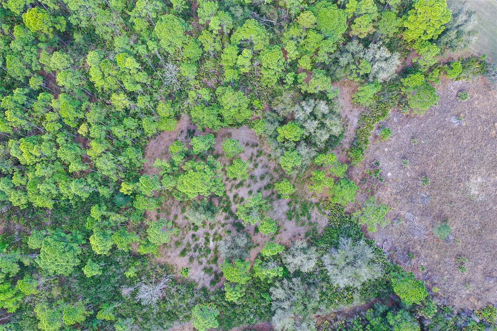 10709 LEAFWING DRIVE