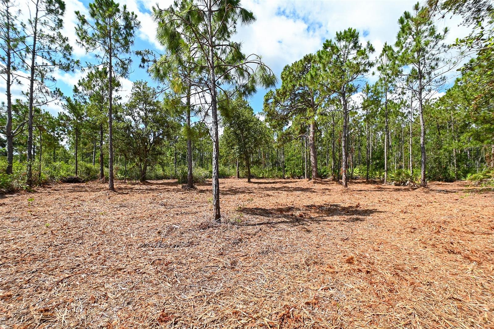 10709 LEAFWING DRIVE