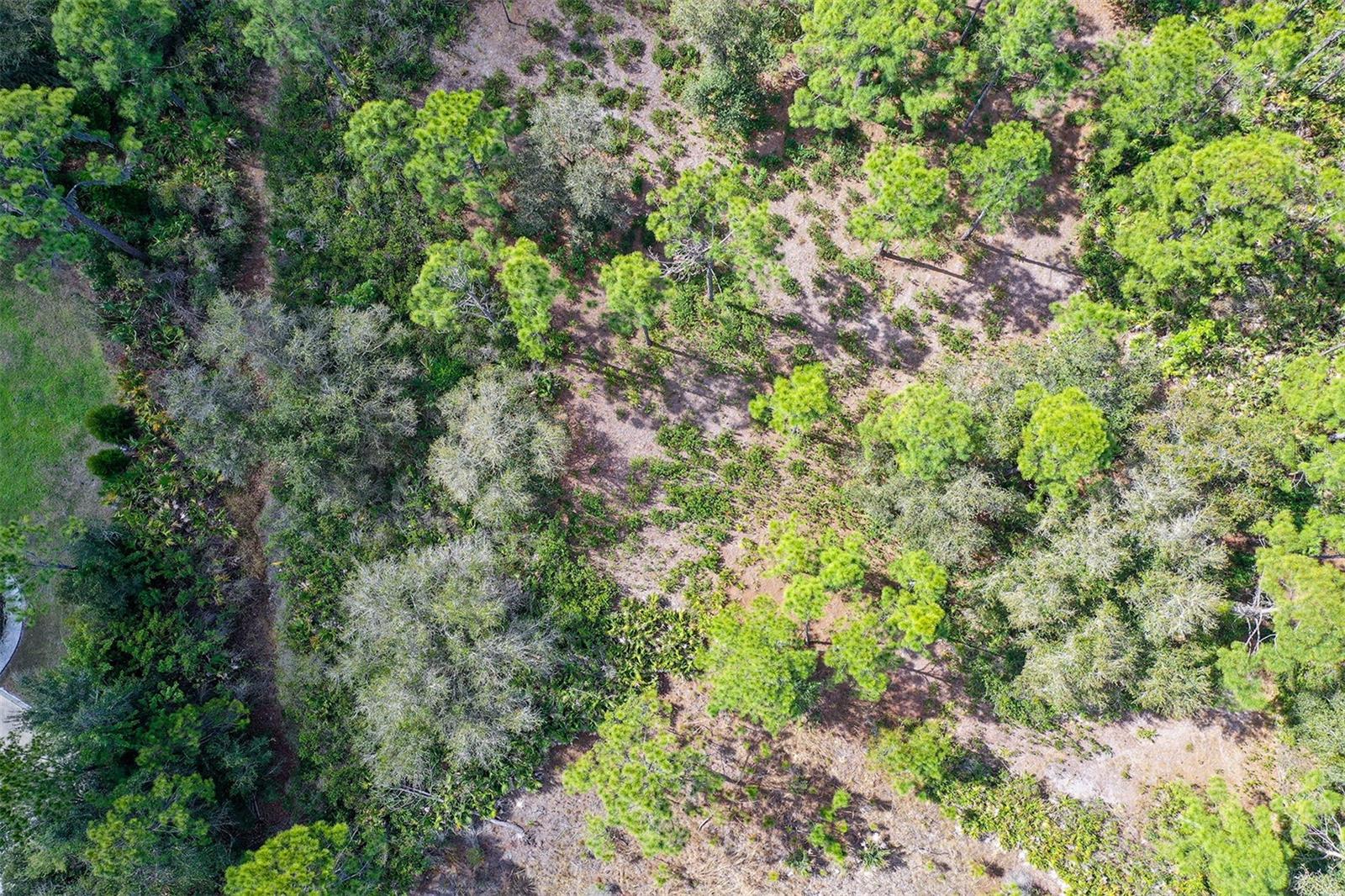 10709 LEAFWING DRIVE