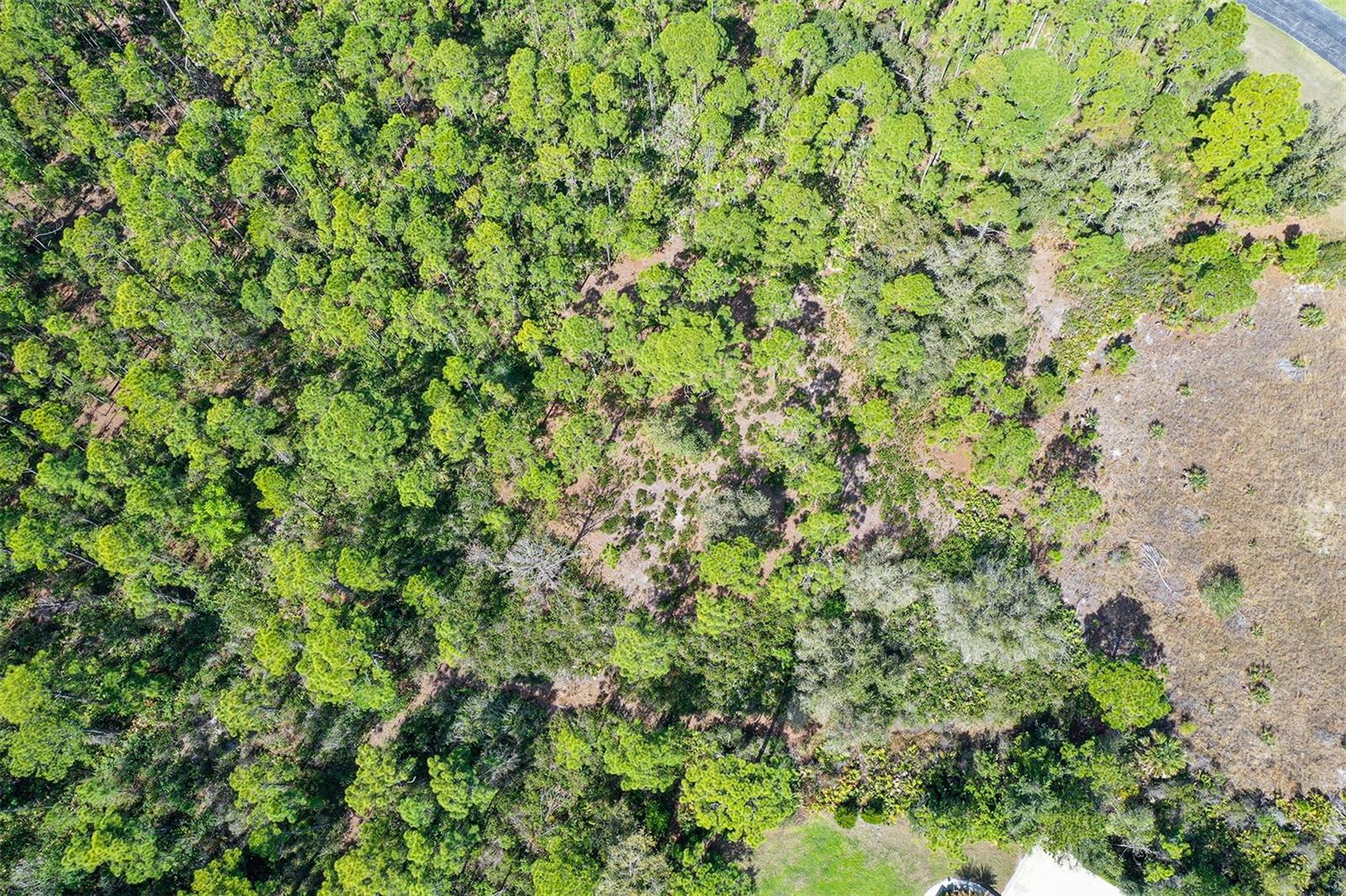 10709 LEAFWING DRIVE