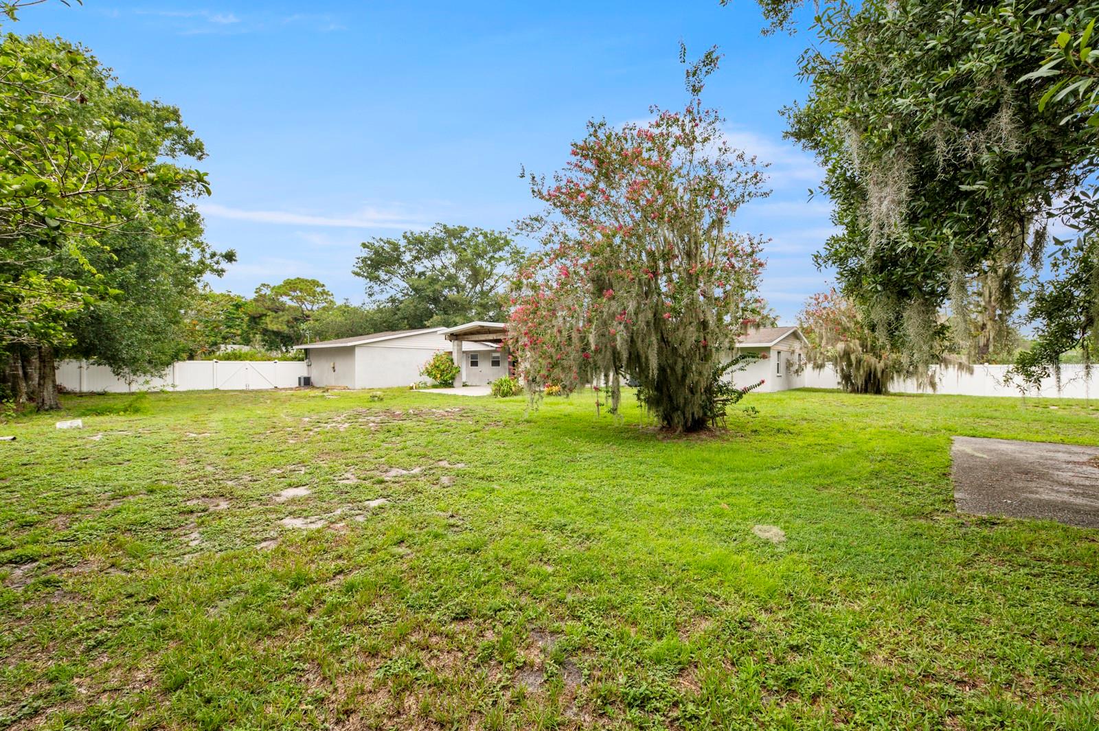 3831 E FOREST LAKE DRIVE