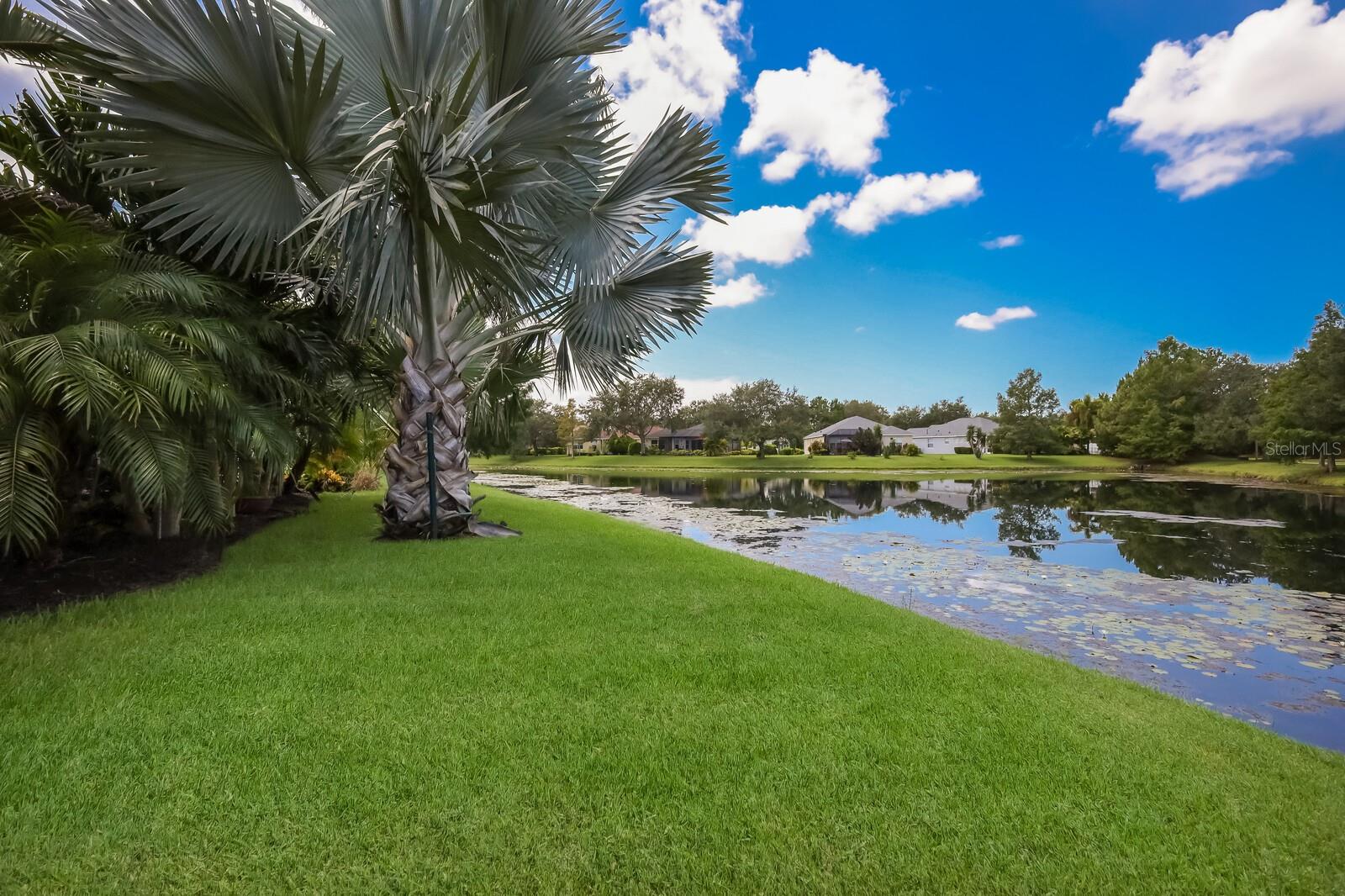 6320 ROBIN COVE