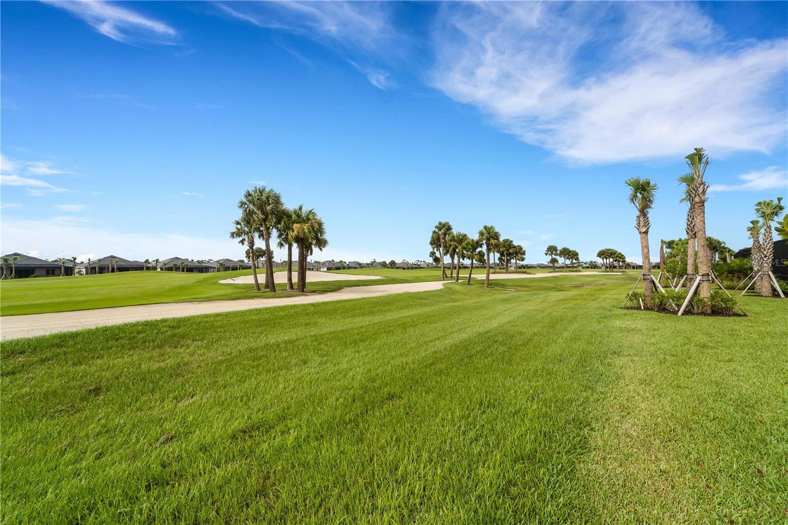25030 GOLDEN FERN DRIVE