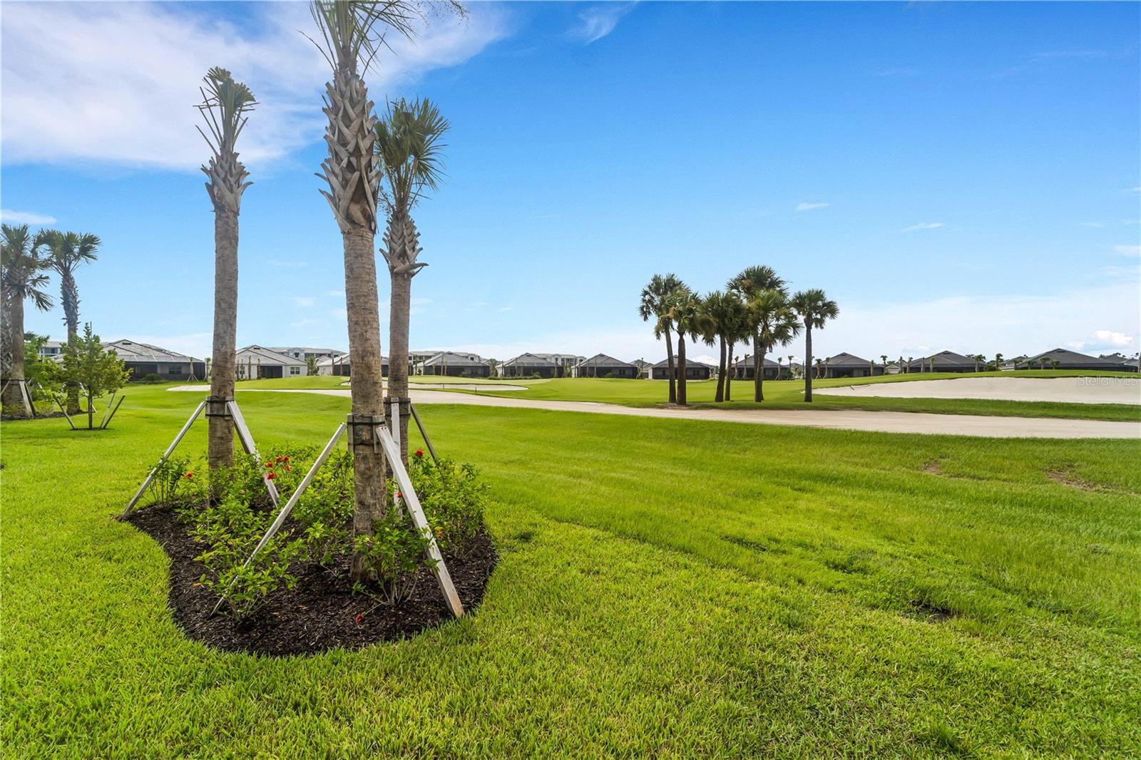25030 GOLDEN FERN DRIVE