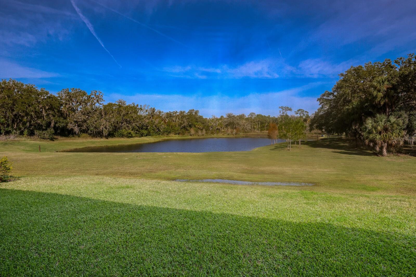 14823 BARROWS BLUFF TERRACE