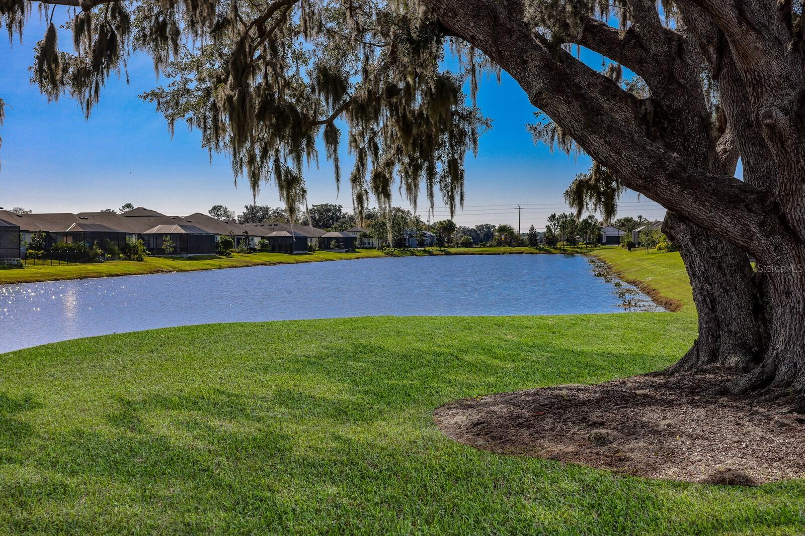 14823 BARROWS BLUFF TERRACE