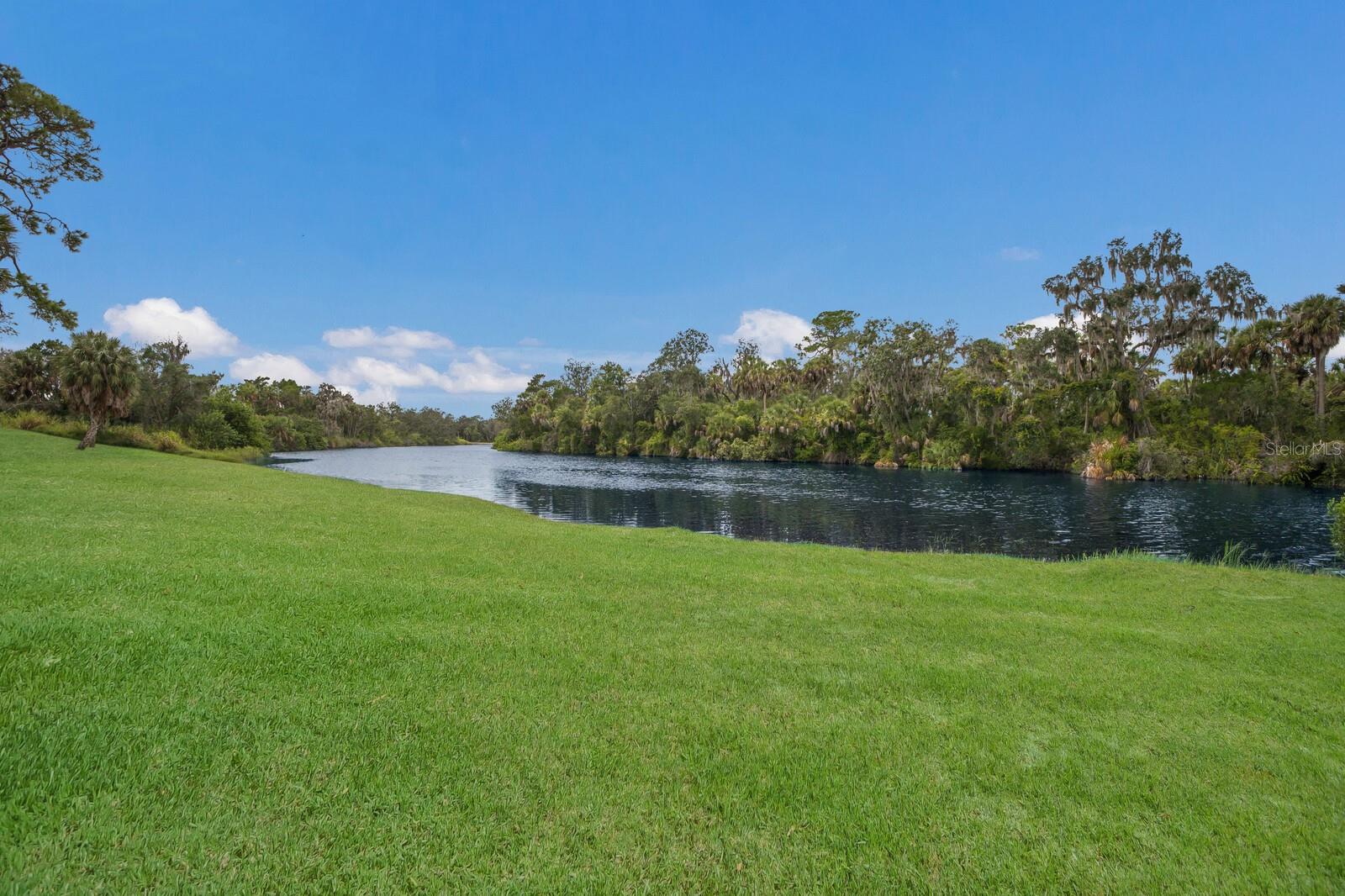 14823 BARROWS BLUFF TERRACE