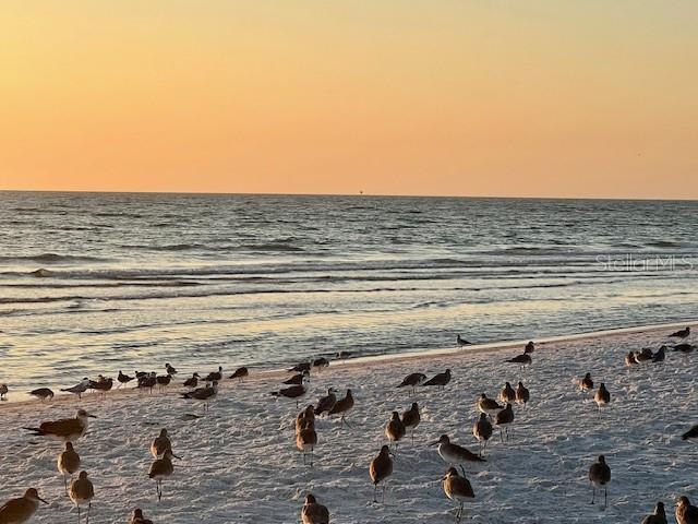 2290 CLEMATIS STREET