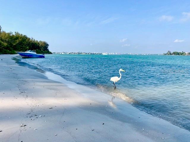 2290 CLEMATIS STREET