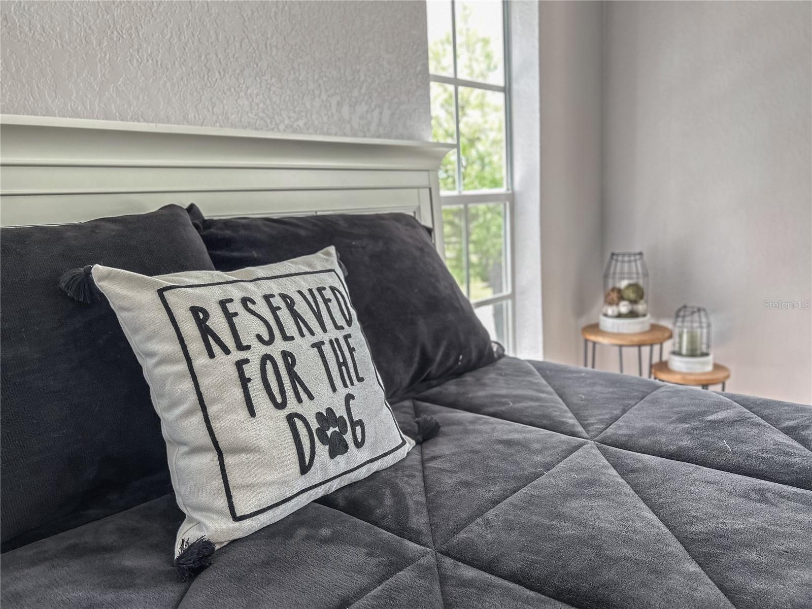 8923 MANOR LOOP #204