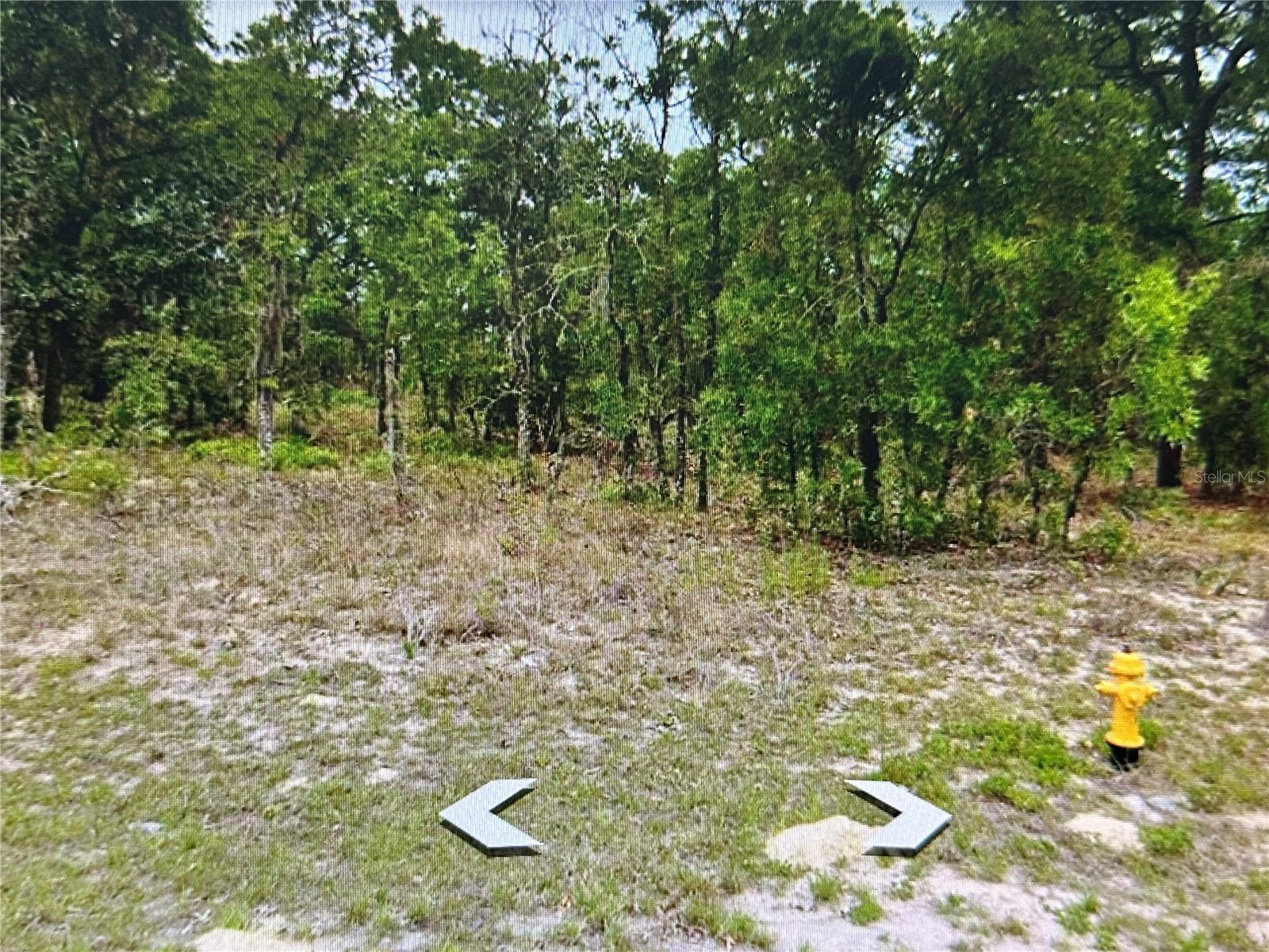 2466 W SWANSON DR