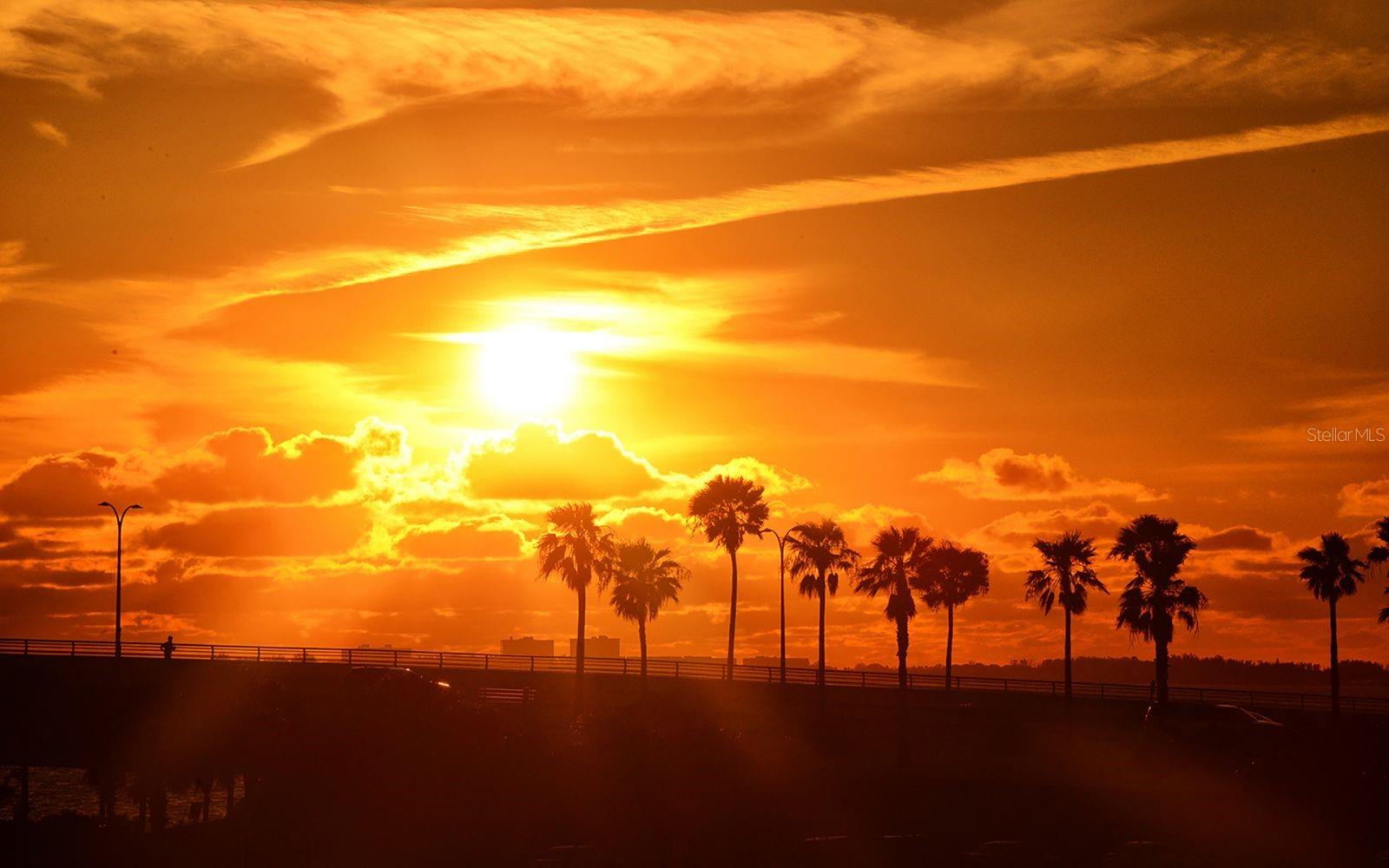 3711 ALMERIA AVE #4N