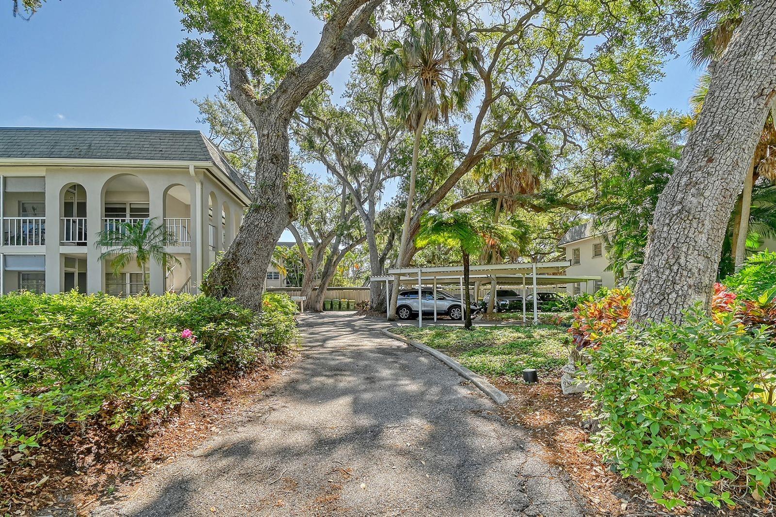 3711 ALMERIA AVE #4N