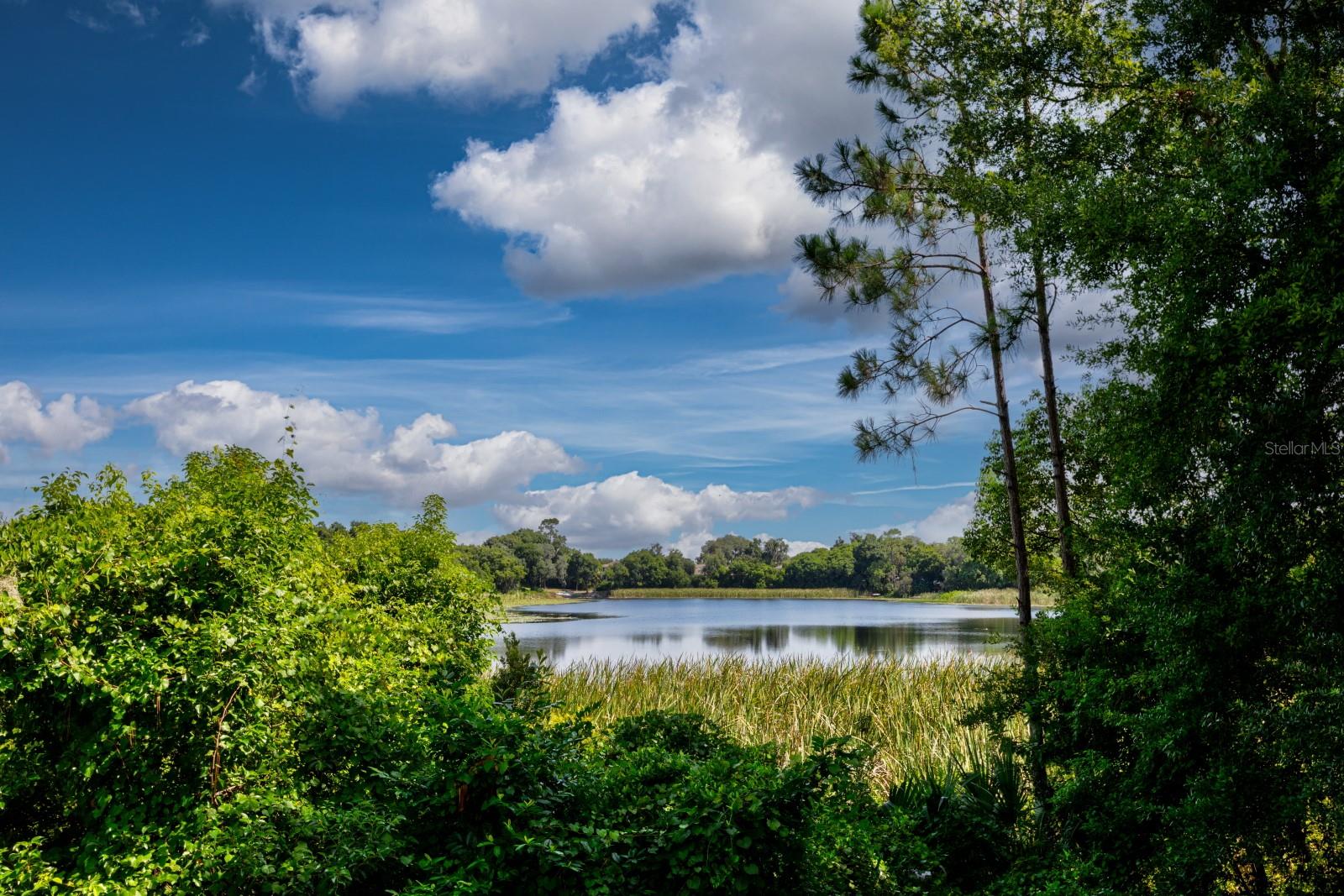 779 STEPHENS PASS CV