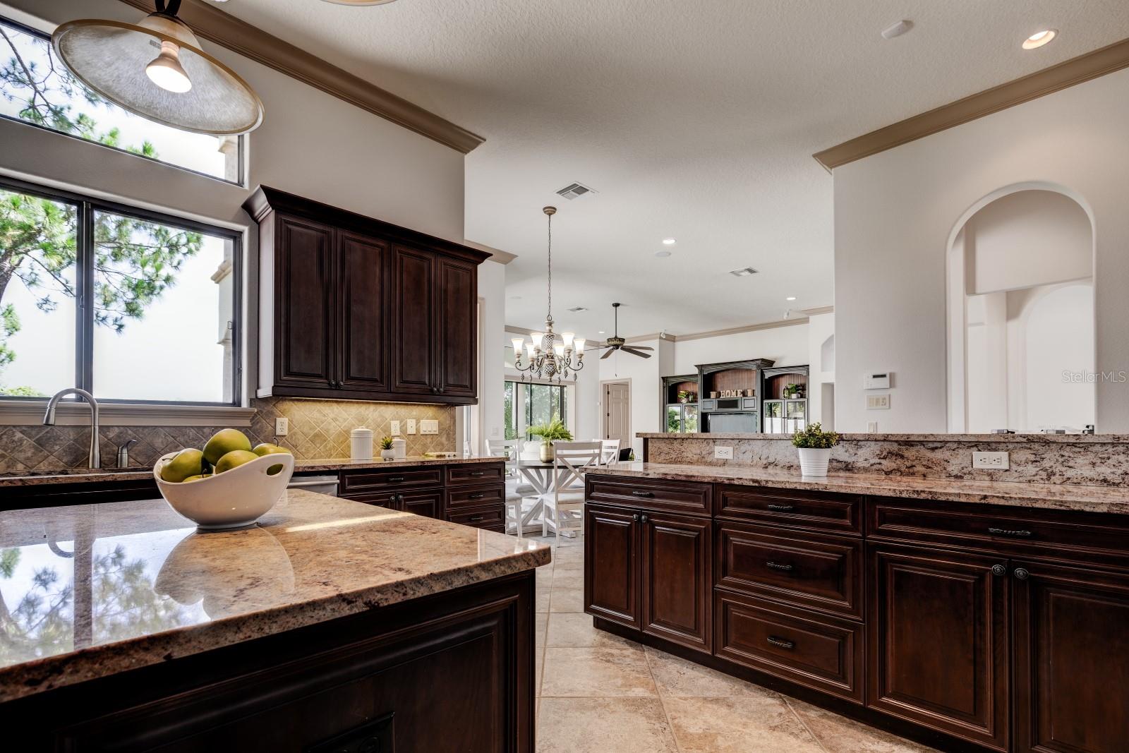 779 STEPHENS PASS CV