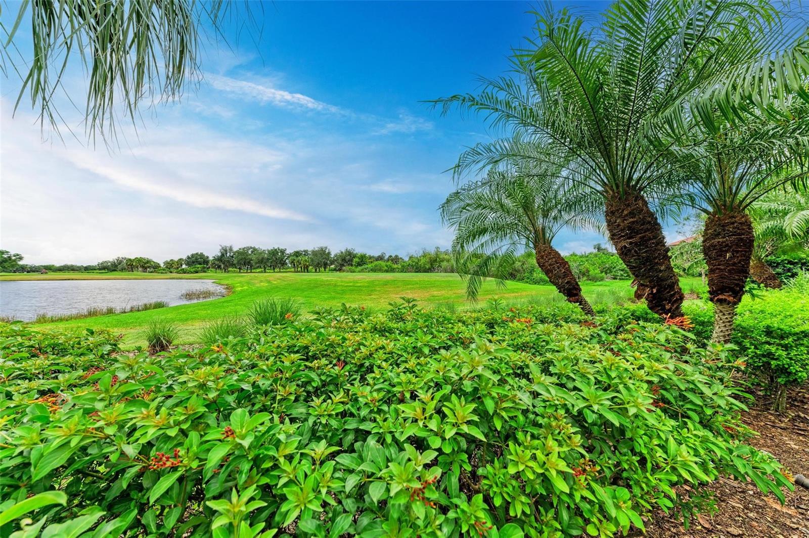 3331 FOUNDERS CLUB DR