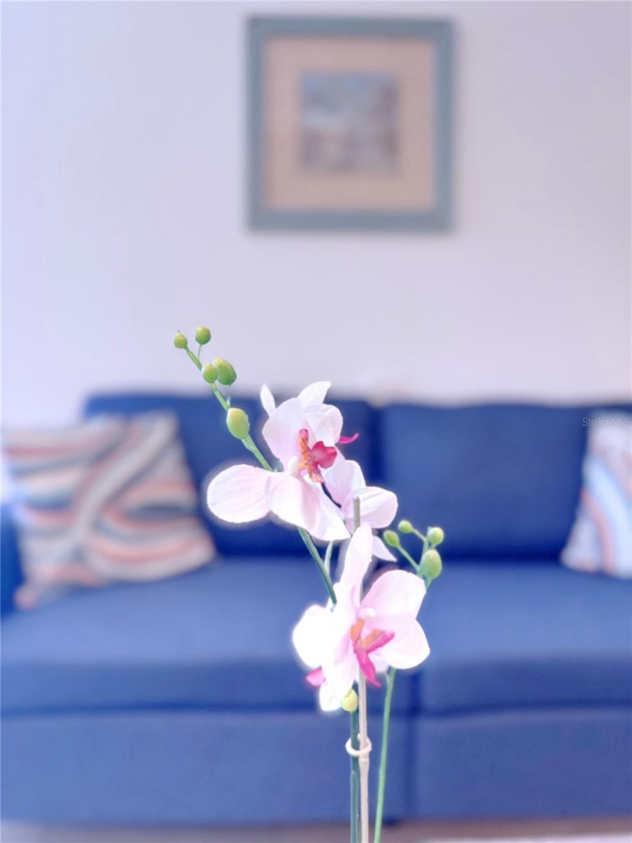 6630 MIDNIGHT PASS RD