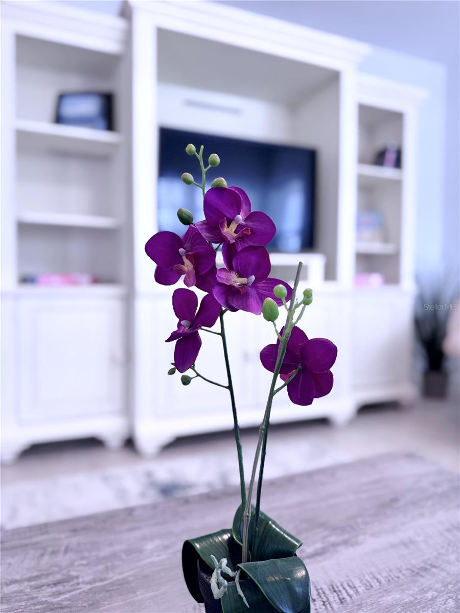 6630 MIDNIGHT PASS RD