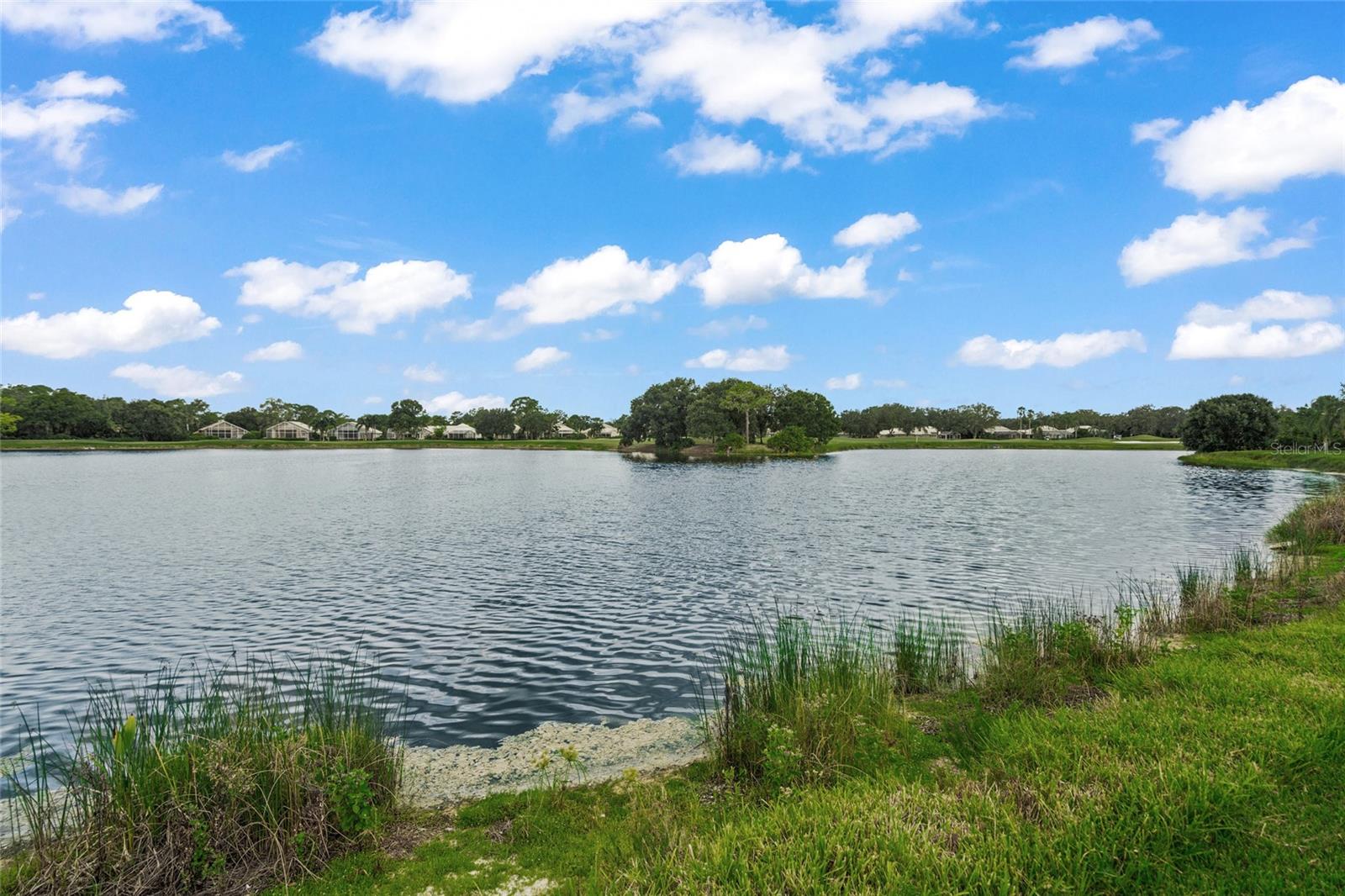 7116 SAINT JOHNS WAY