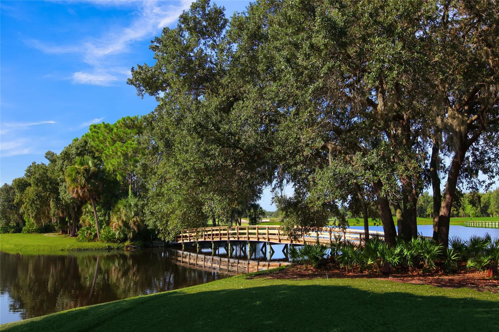 7116 SAINT JOHNS WAY