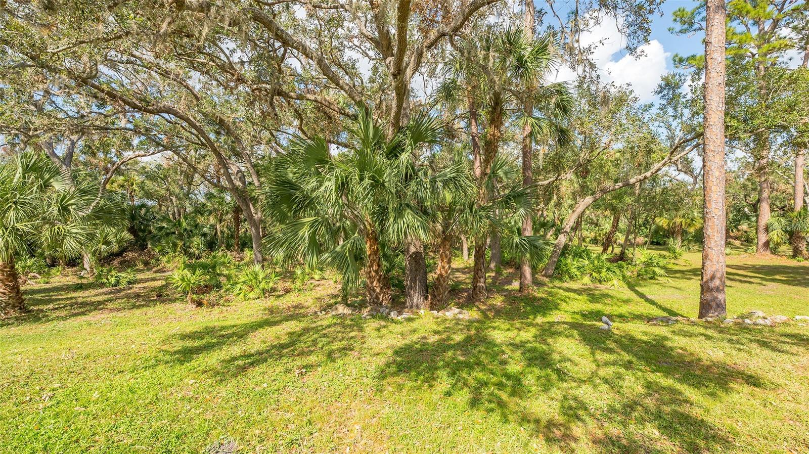 9291 SWAYING BRANCH RD