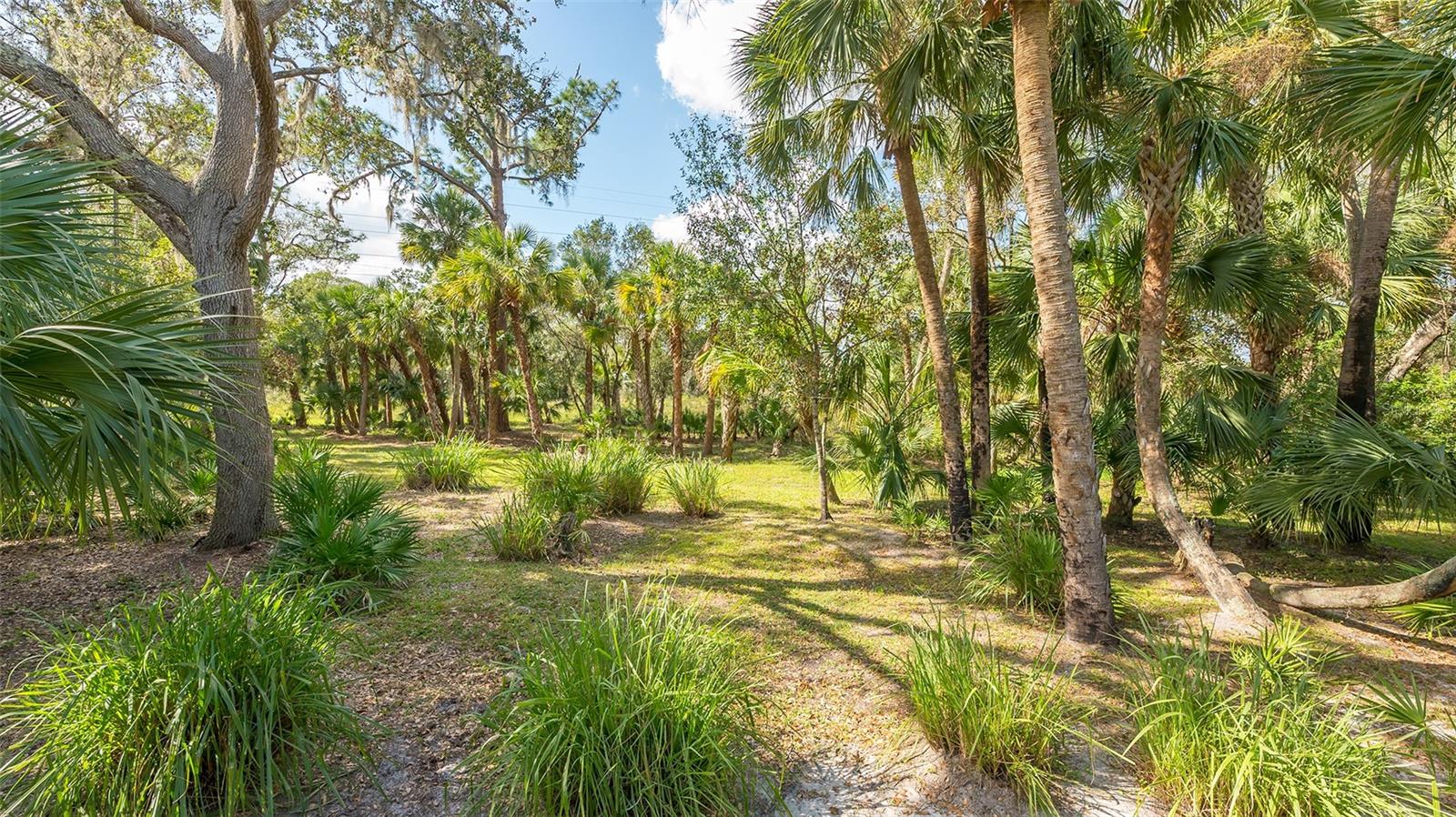 9291 SWAYING BRANCH RD