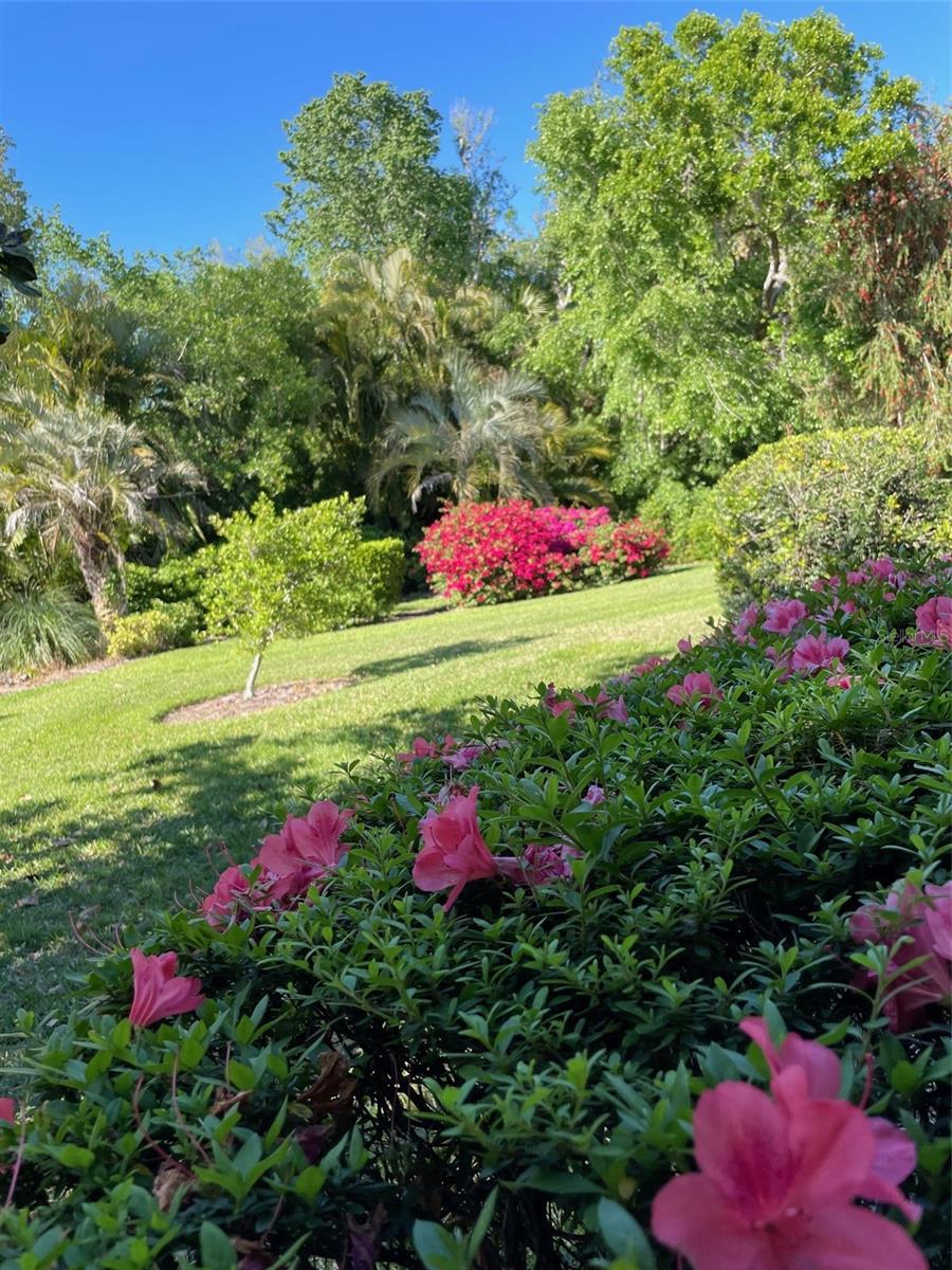 3649 WILDERNESS BLVD W