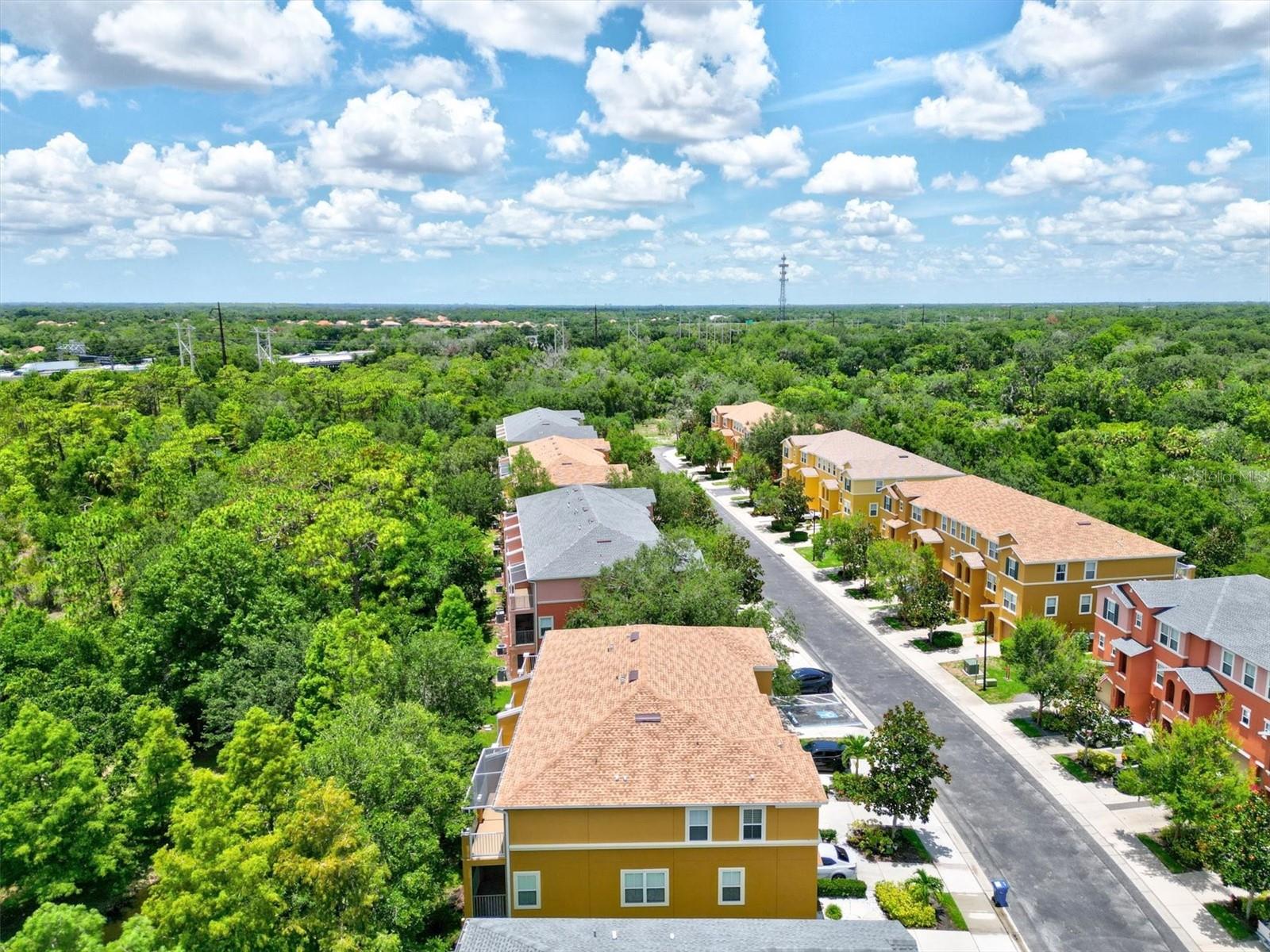 7350 BLACK WALNUT WAY