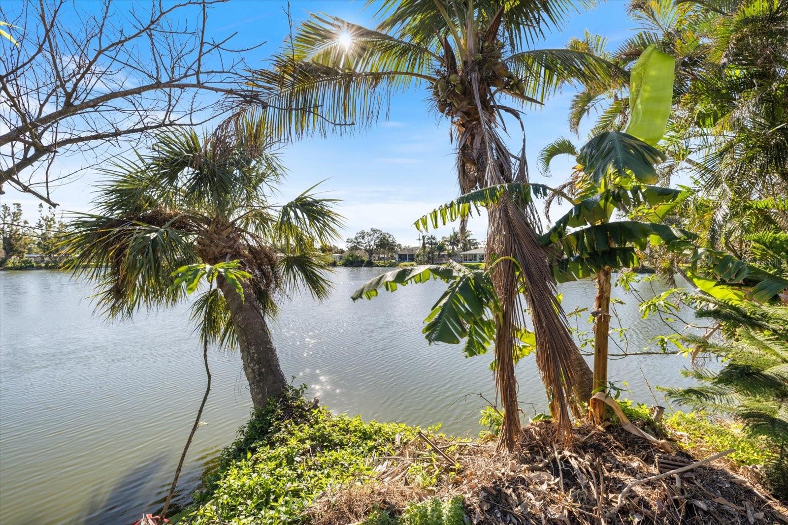 645 PALMETTO DR