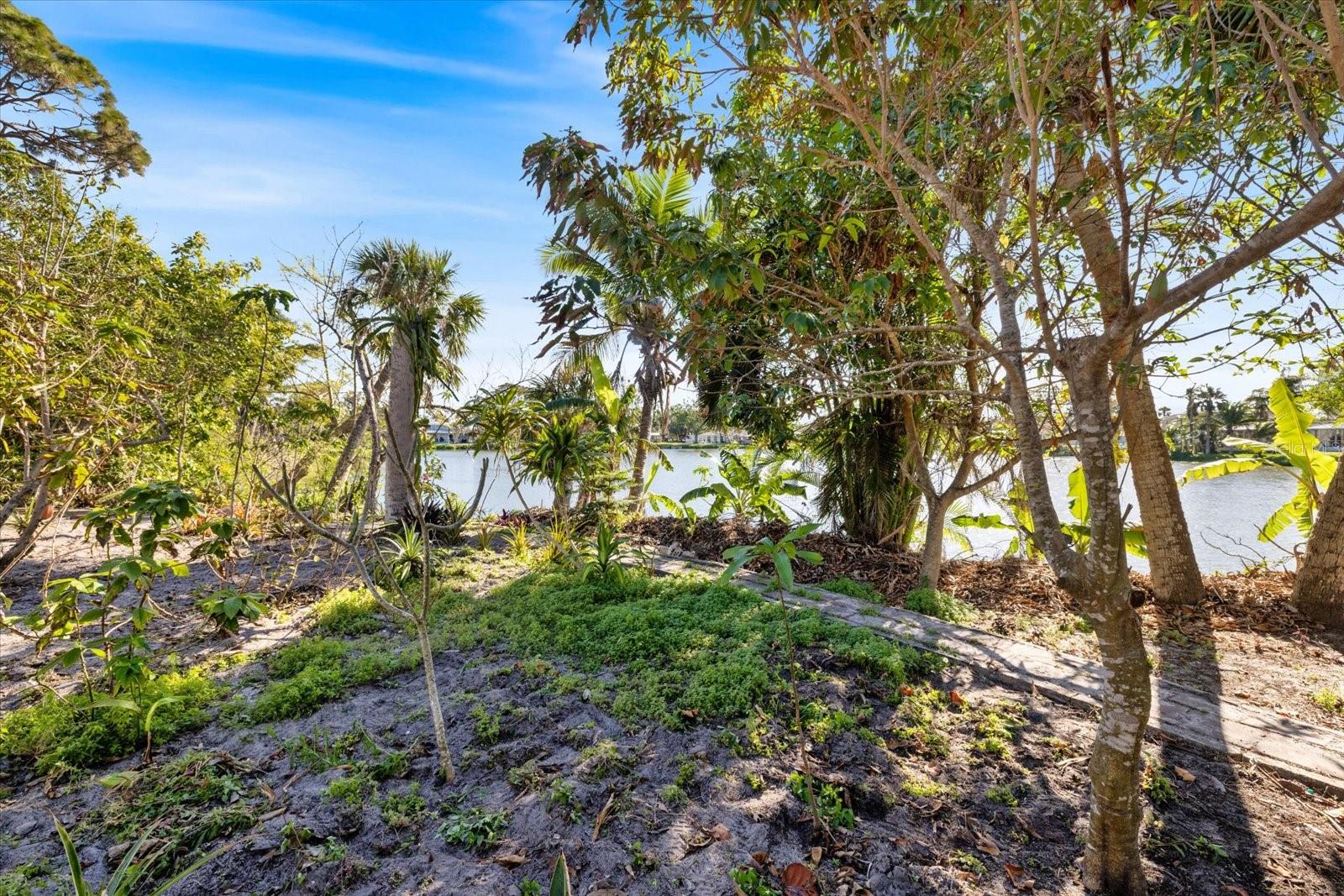 645 PALMETTO DR