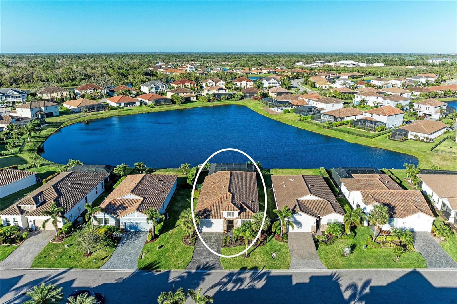 13228 SAW PALM CREEK TRL