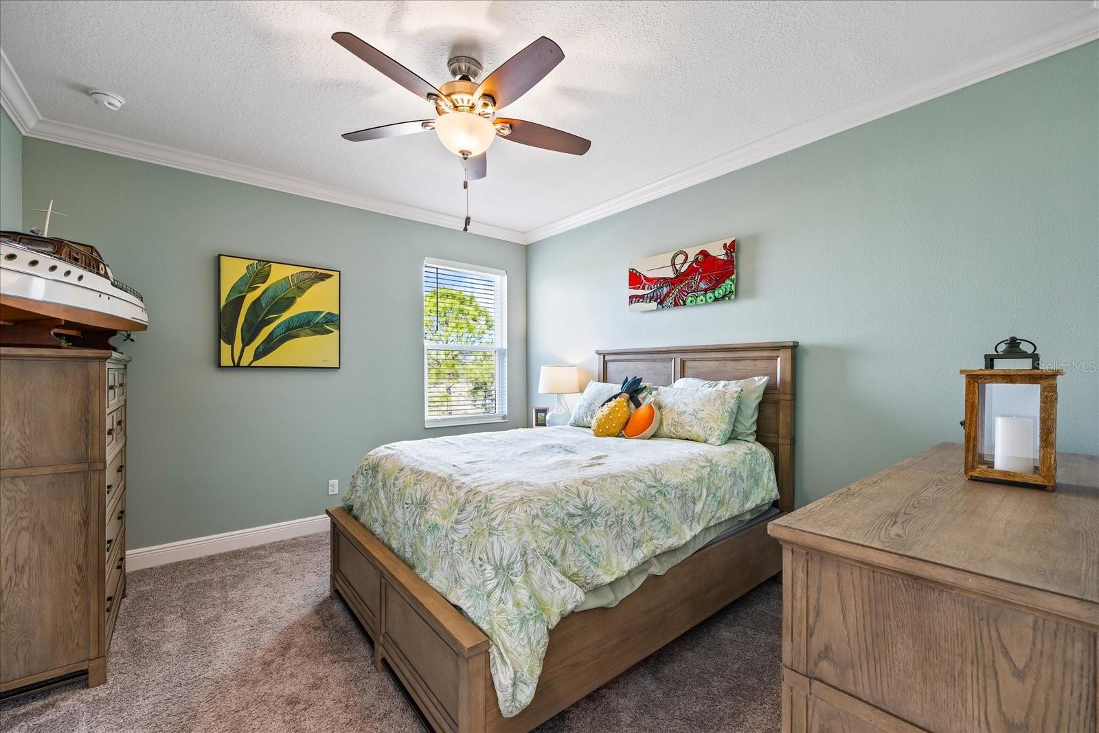 7012 WHITE WILLOW CT